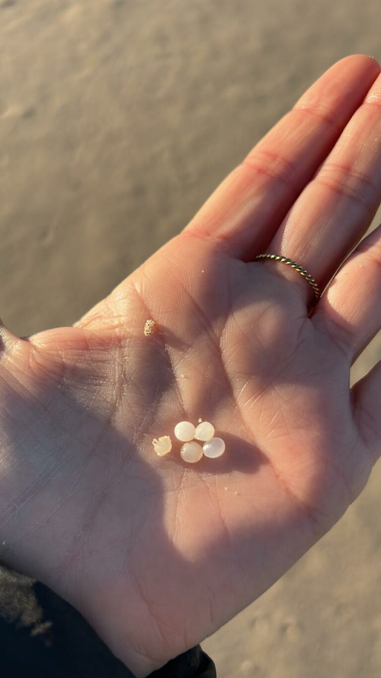 Llegan los pellets a las playas de Tarifa